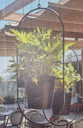 Hang-blombak